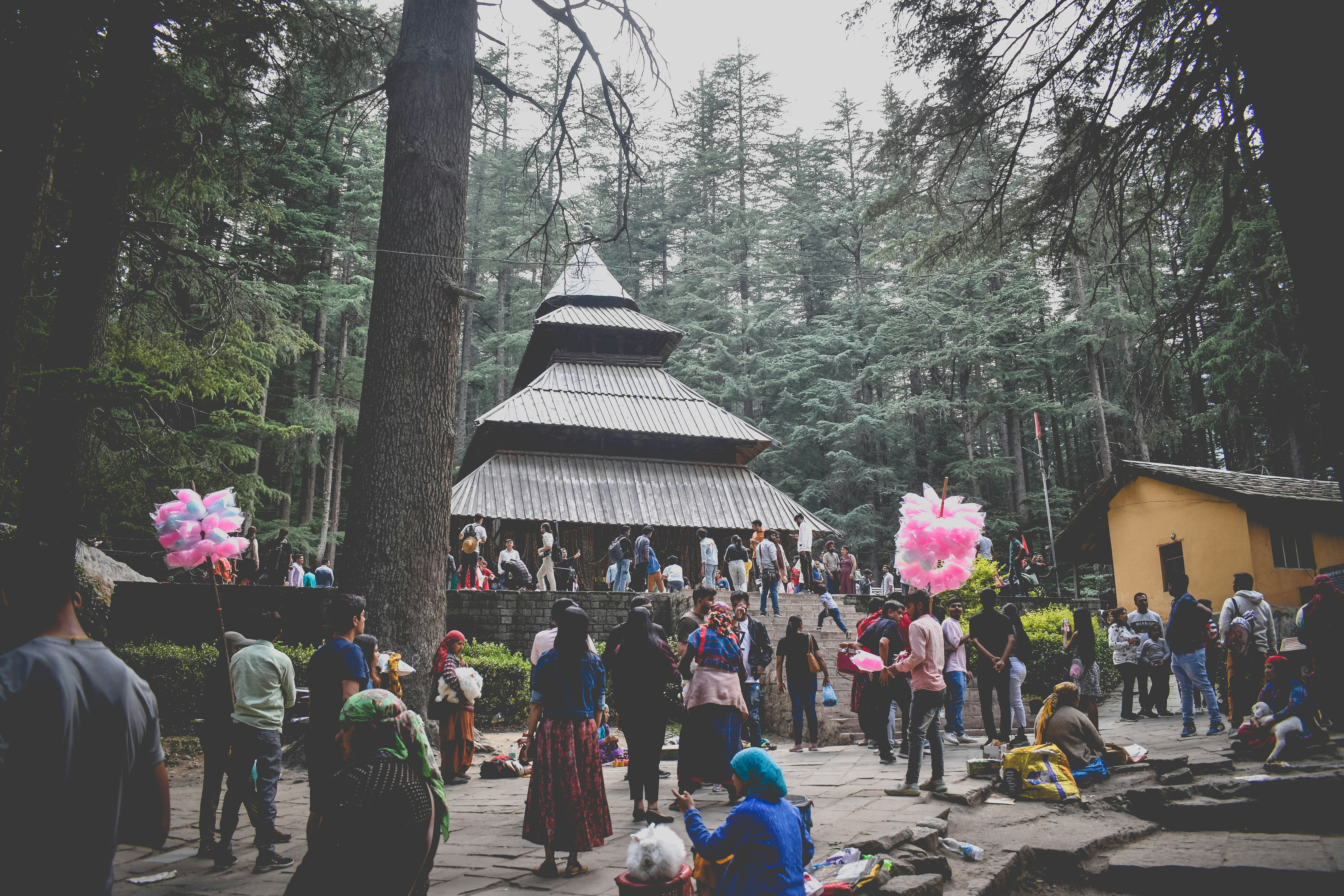 Vashisht Hot Springs