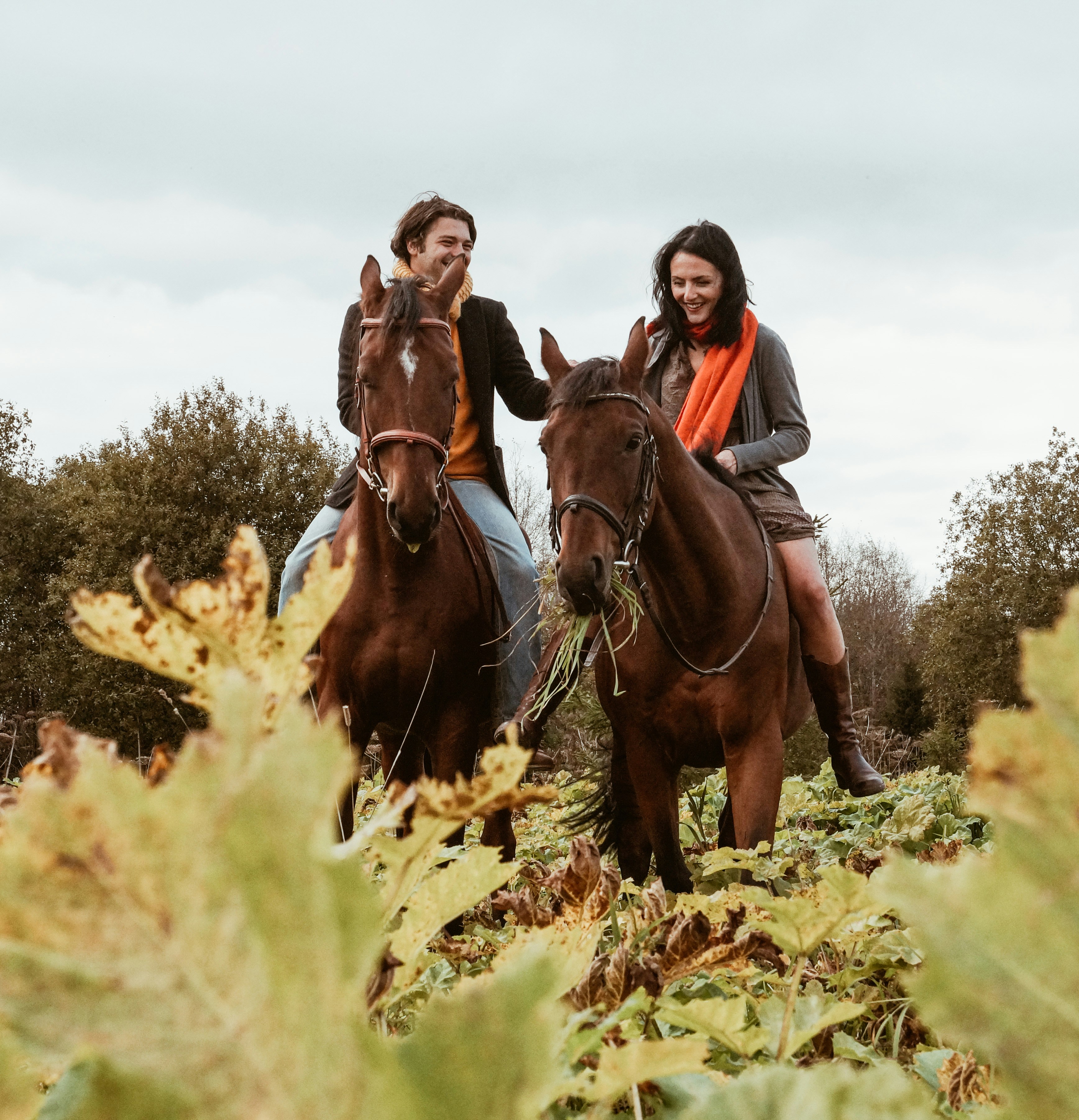 Horse Riding in Kufri